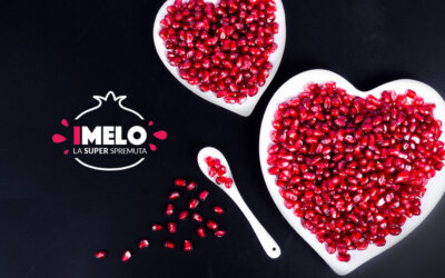 iMelo
