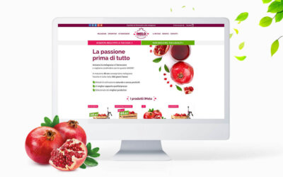 Strategie digital per un e-commerce di successo