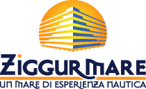 logo ziggurmare